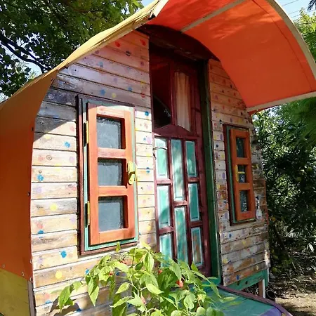 Saba Apart