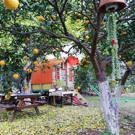 Aparthotel Saba Apart Kemer